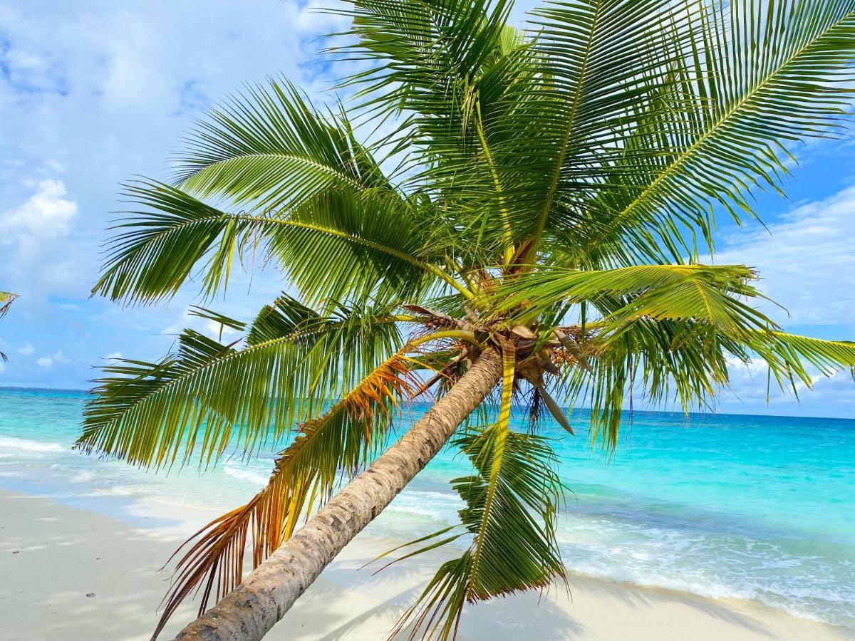 Tme Retreats Dhigurah Ξενοδοχείο Dhigurah  Εξωτερικό φωτογραφία
