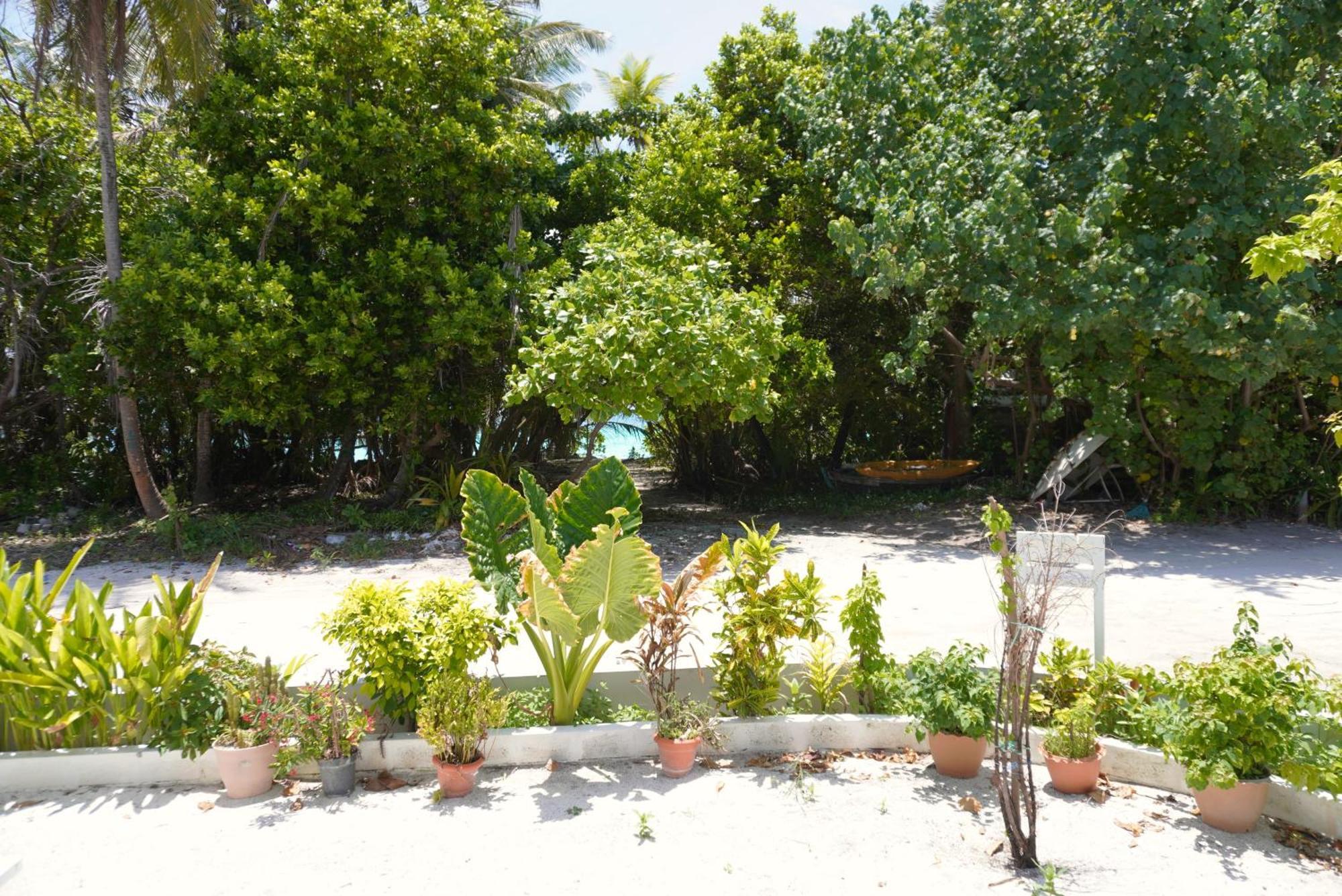 Tme Retreats Dhigurah Ξενοδοχείο Dhigurah  Εξωτερικό φωτογραφία