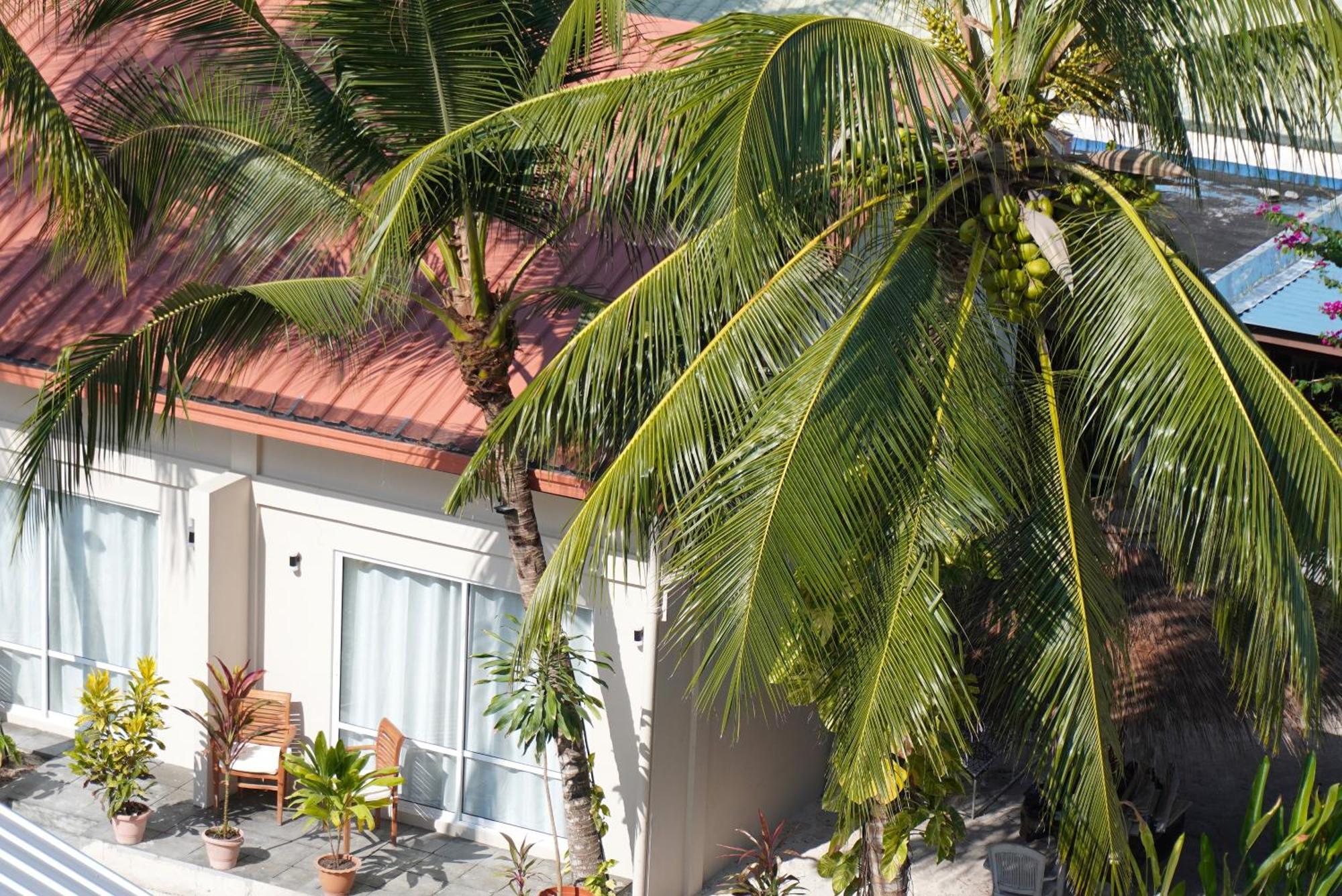 Tme Retreats Dhigurah Ξενοδοχείο Dhigurah  Εξωτερικό φωτογραφία